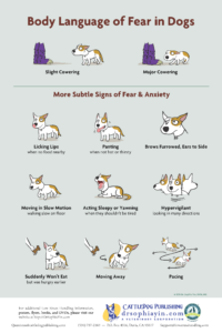 Dog Body Language of Fear Poster