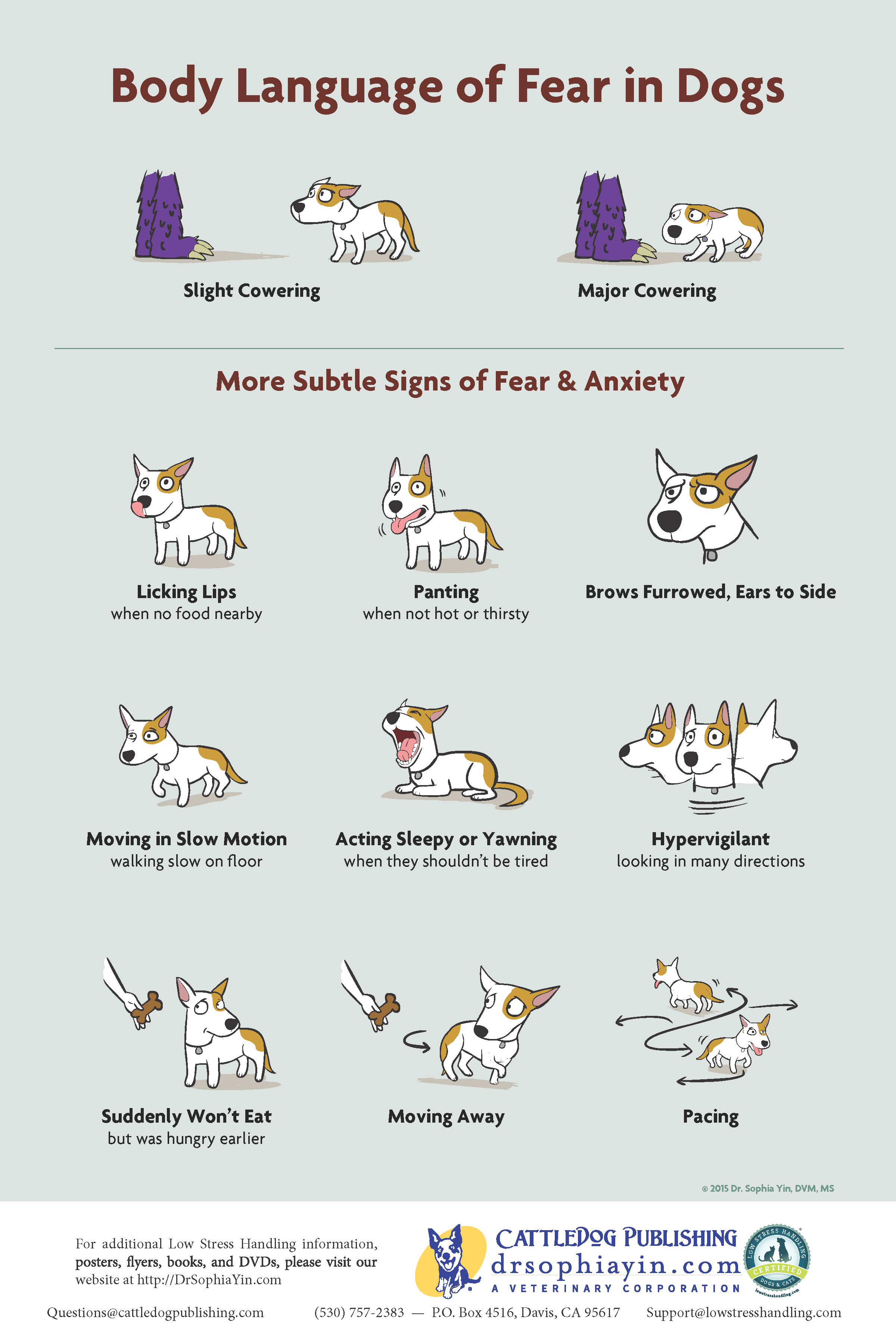 Dog Body Language of Fear Poster