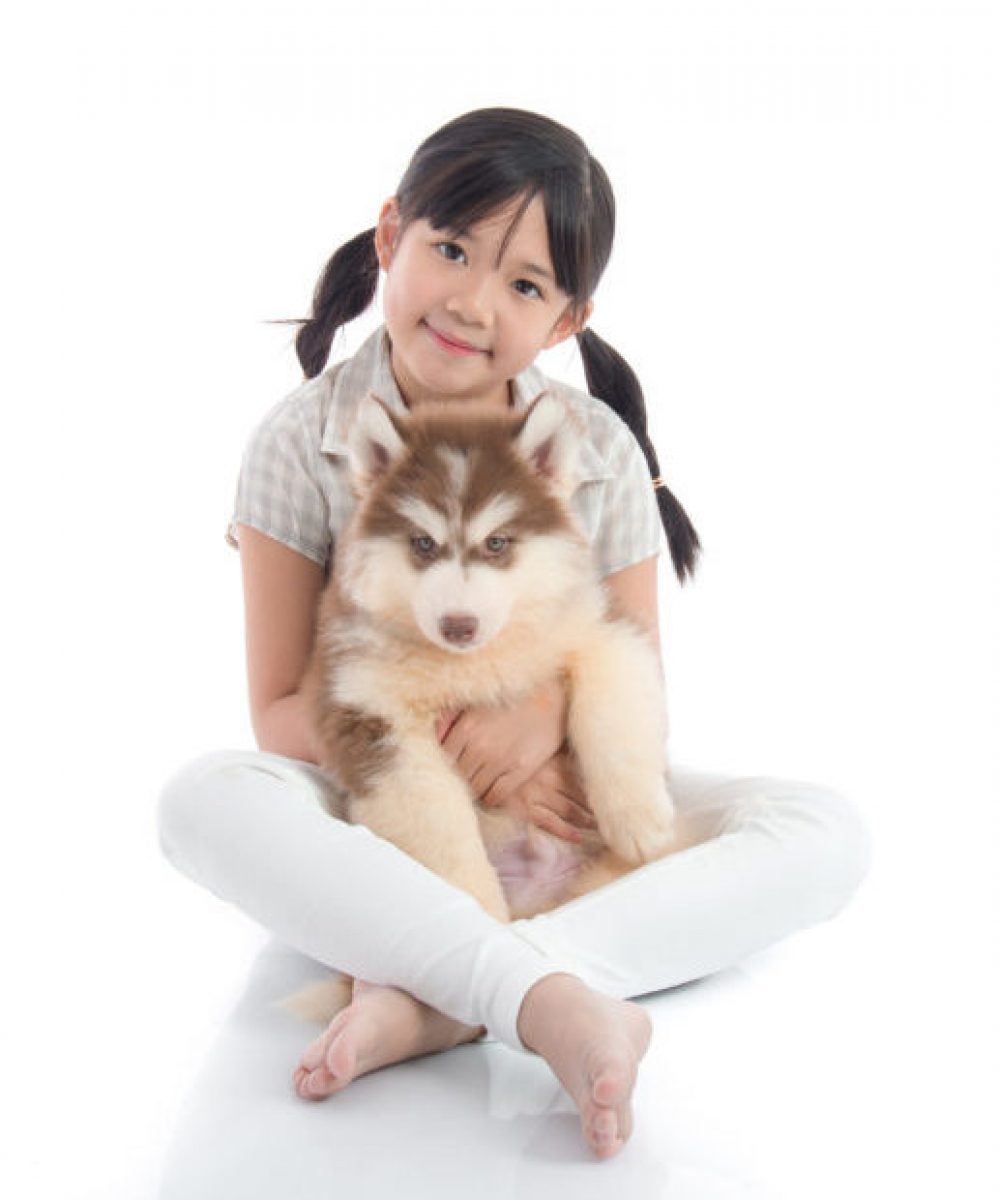 Beautiful asian girl hugging siberian husky puppy on white background isolated with copy space on right