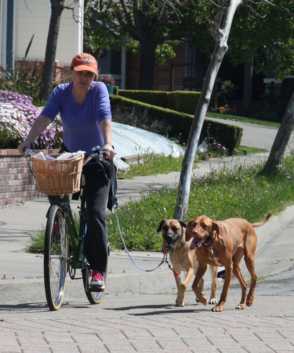 bike riding with your dog